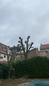 Photo de galerie - ??