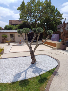 Photo de galerie - Taille 