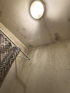 Photo de galerie - Peinture - Tapisserie