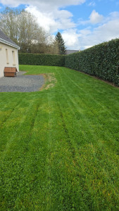 Photo de galerie - Débroussayage et tonte une pelouse 