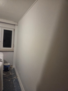 Photo de galerie - Réalisation de une fibré de verre 