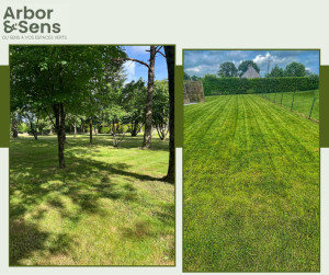 Photo de galerie - Tonte de pelouse - Débroussaillage