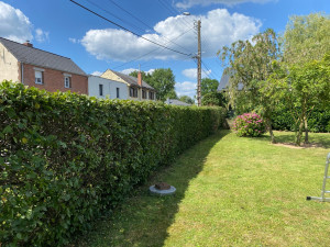 Photo de galerie - Une taille de haie d’environ 20m de long 