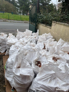 Photo de galerie - Pro