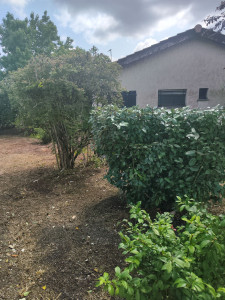 Photo de galerie - Entretien jardin 