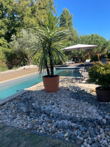 Photo de galerie - Paysagiste - Aménagement du jardin