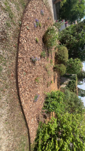 Photo de galerie - Creation de massif 