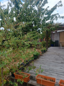 Photo de galerie - Arrosage de jardin 
septembre 2026, Nantes sud 