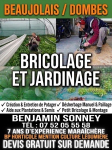 Photo de galerie - Flyer publicitaire avec présentation, nom, téléphone