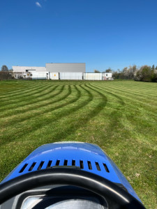 Photo de galerie - Tonte de pelouse 