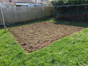 Photo de galerie - Paysagiste - Aménagement du jardin