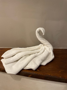 Photo de galerie - Lingerie - Repassage