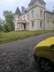 Photo de galerie - Tout travaux de jardinage évacuation des dechets 