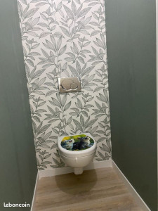 Photo de galerie - Toilette suspendu