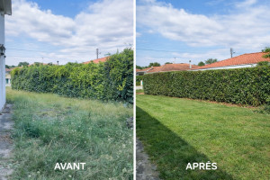 Photo de galerie - Remise en état complète d’un jardin envahi ✔️ Débroussaillage ✔️ Tonte ✔️ Taille de haie ✔️ Nettoyage et évacuation des déchets
