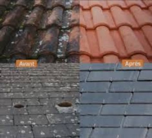 Photo de galerie - Nettoyage et démossage toiture