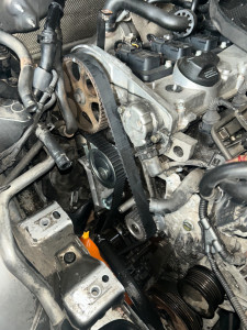 Photo de galerie - Distribution 