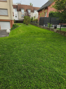 Photo de galerie - Tonte de gazon 