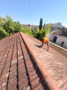 Photo de galerie - Charpente