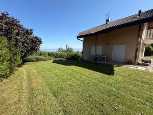 Photo de galerie - Entretien de la pelouse 