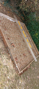 Photo de galerie - Maçonnerie