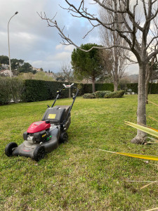 Photo de galerie - Première tonte de l’année 