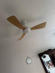 Photo de galerie - Installation d’un plafonnier ventilateur avec lumière 