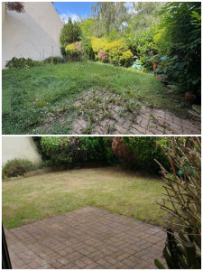 Photo de galerie - Paysagiste - Aménagement du jardin
