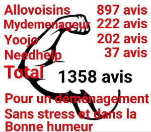 Photo de galerie - Pour un déménagement garanti sans stress et dans la bonne humeur ❤️ 