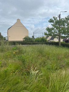 Photo de galerie - Débroussaillage 