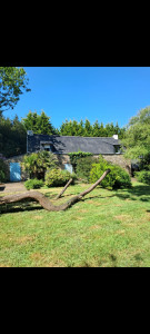 Photo de galerie - Remise en état d'un jardin de 1000m2 
