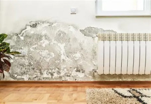 Photo de galerie - Remontées d'humidité par capillarité