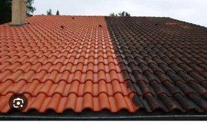 Photo de galerie - Traitement de toiture avec produit par pulvérisation.