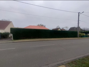 Photo de galerie - Taille de haies et d'arbustes