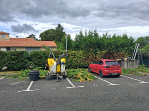 Photo de galerie - Rabattage d’une haie de cyprès dans une copropriété à Saint Lys.