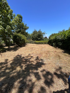 Photo de galerie - Après le débroussaillage du terrain