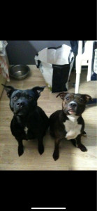 Photo de galerie - ?