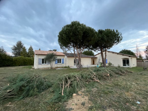 Photo de galerie - Elagage et coupe d'arbres