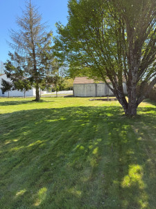 Photo de galerie - Tonte de pelouse - Débroussaillage