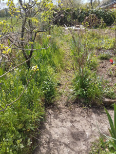Photo de galerie - Jardinier