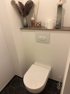 Photo de galerie - Rénovation avec pose wc suspendu 