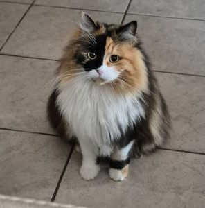 Photo de galerie - La belle UCA