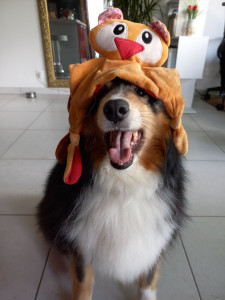 Photo de galerie - Méli 