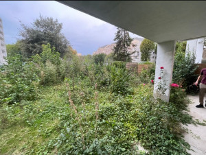 Photo de galerie - Tonte de pelouse - Débroussaillage