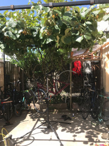 Photo de galerie - Je répare au local, dedans ou dehors selon le climat !