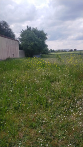 Photo de galerie - Photo avant 