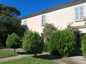 Photo de galerie - Taille en boule