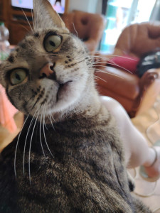 Photo de galerie - Tarah qui me regarde




















?
