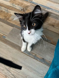 Photo de galerie - Aimée