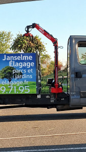 Photo de galerie - Evacuation dechets verts
